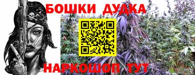 прущая мука Лесосибирск