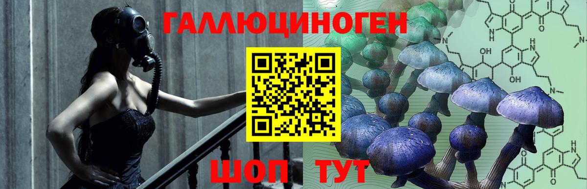 Псилоцибиновые грибы ЛСД  Псилоцибиновые грибы GOLDEN TEACHER  Арсеньев  Вход с VPN 